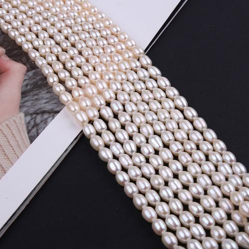 Rice Kulturan Slatkovodni Pearl perle, Riža, modni nakit & možete DIY, bijel, Length about 6-6.5mm, Prodano Per Približno 38 cm Strand