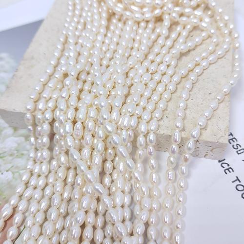 Riso coltivato in perla d'acqua dolce, perla d'acquadolce coltivata naturalmente, gioielli di moda & DIY, bianco, Length about 3.2-3.6mm, Venduto per Appross. 38 cm filo
