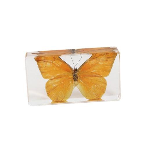 Fashion Decoration, Resin, with Butterfly, epoxy gel, for home and office & different styles for choice, more colors for choice, 72x40x15mm, 6PCs/Bag, Sold By Bag