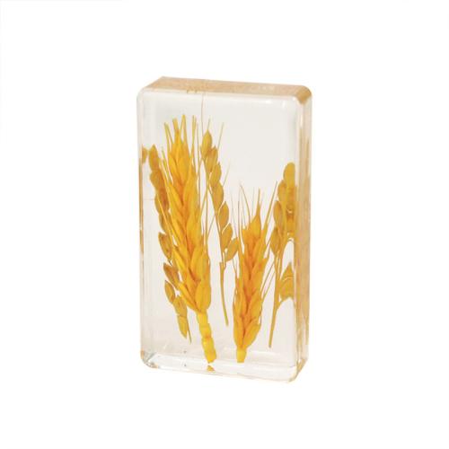 Fashion Decoration, Resin, with Wheat, epoxy gel, for home and office, yellow, 72x40x15mm, 6PCs/Bag, Sold By Bag