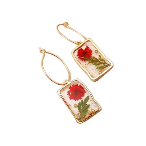 Pressed Dried Flower Jewelry , Brass, with Dried Flower & Resin, epoxy gel, for woman, golden, Sold By Pair