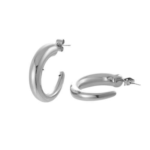 Titanium Steel  Earring, Vacuum Ion Plating, different styles for choice & for woman, silver color, Sold By Pair