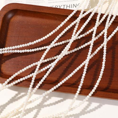 Perline conchiglia mari del sud, Shell Pearl, Cerchio, gioielli di moda & DIY, bianco, 3mm, Appross. 130PC/filo, Venduto da filo