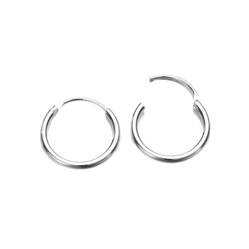 Stainless Steel Lever Back Earring 316L Stainless Steel plated & for woman Sold By Pair