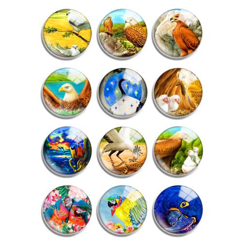 Glass Cabochons with Resin Flat Round mixed pattern & DIY Sold By Lot