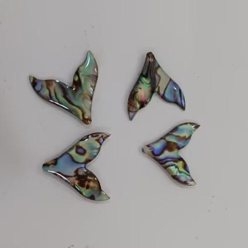 Abalone Shell Beads, Mermaid tail, DIY, multi-colored, 20x19mm, Sold By PC