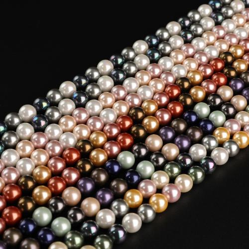 Shell Pearl Beads Round DIY Sold Per Approx 40 cm Strand
