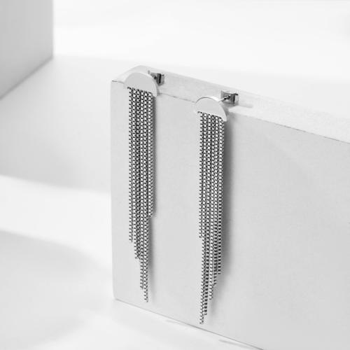 Titan Stahl Ohrring, Titanstahl, Modeschmuck & für Frau, keine, 10x74mm, verkauft von Paar