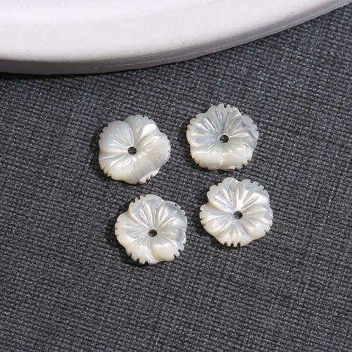 Resultados del pelo, Concha de labios blancos, Flor, Bricolaje, Blanco, 12x12mm, Vendido por UD