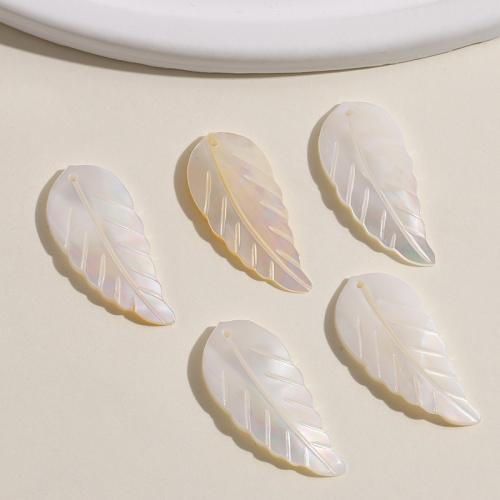 Haar stok bevindingen, White Lip Shell, Blad, gepolijst, DIY, wit, 12x30mm, Verkocht door PC