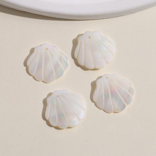 White Lip Shell pingente, Ostra, polido, DIY, 22x22mm, vendido por PC