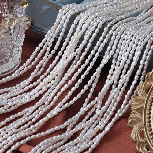 Rýže kultivované sladkovodní perle, Sladkovodní Pearl, DIY, bílý, 3mm, Prodáno za Cca 36 cm Strand