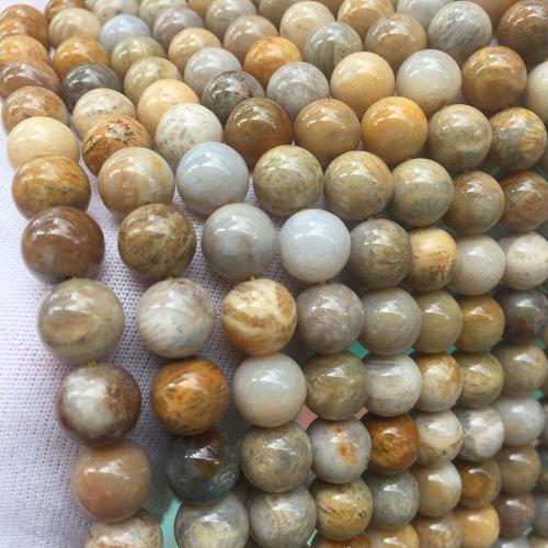 Gemstone Jewelry Beads Chrysanthemum Stone Round DIY Sold By Strand