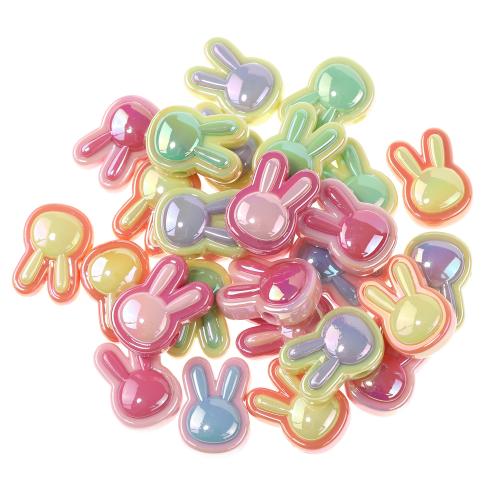 Acrylic Jewelry Beads, Rabbit, DIY, mixed colors, 24x17x10.80mm, 100PCs/Bag, Sold By Bag