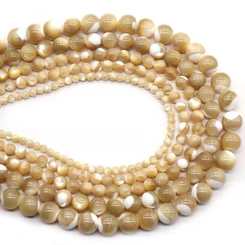 Trochus Beads, Round, DIY & different size for choice, more colors for choice, Sold By Strand