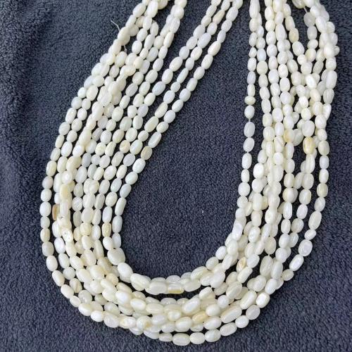 Perles naturelles de coquillage d'eau douce , coquille, DIY, blanc, 5mm, 56PC/brin, Vendu par brin