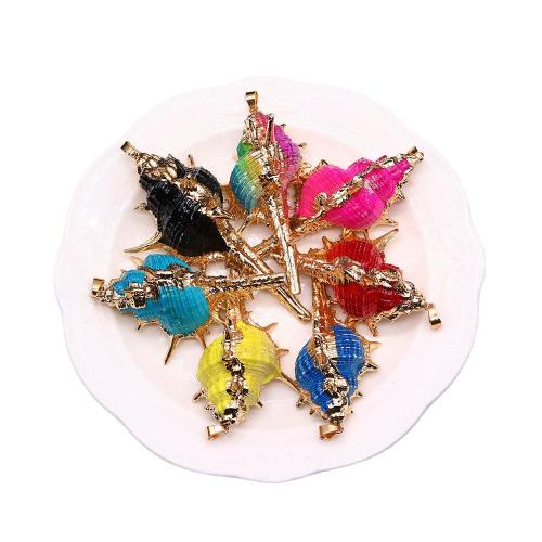 Natural Trumpet Shell Pendants, with Brass, Conch, gold color plated, dyed & DIY, more colors for choice, about:31x61-44x91mm, Sold By PC