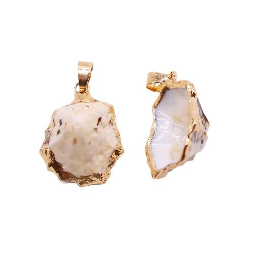 Shell Pendants with Brass gold color plated DIY x22- Sold By PC