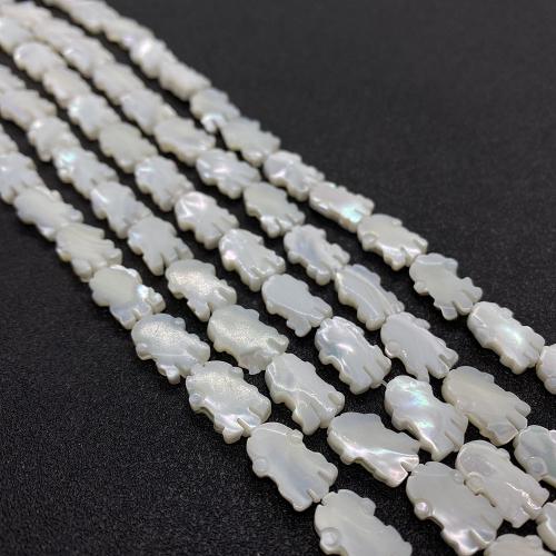 Natural Sea Shell Beads, conchiglia marina, Polpo, DIY, bianco, 9x14mm, Venduto per Appross. 38 cm filo