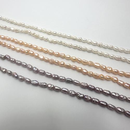 Perlas Arroz Freshwater, Perlas cultivadas de agua dulce, Bricolaje, más colores para la opción, 2-3mm, Vendido para aproximado 37 cm Sarta