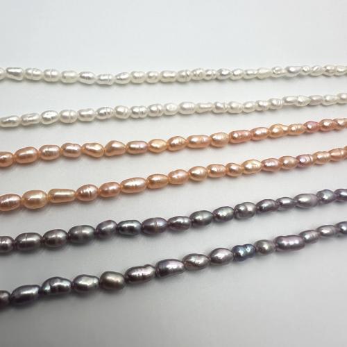 Perles d'eau douce de culture de riz, perle d'eau douce cultivée, DIY, plus de couleurs à choisir, 2-3mm, Vendu par Environ 35 cm brin