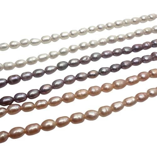 Rice Kulturan Slatkovodni Pearl perle, Riža, možete DIY, više boja za izbor, 6-7mm, Prodano Per Približno 36 cm Strand