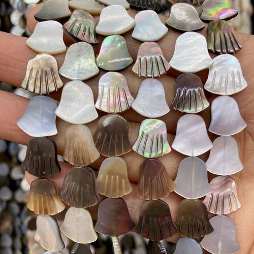 Natural Freshwater Shell Beads & DIY Sold Per Approx 38 cm Strand