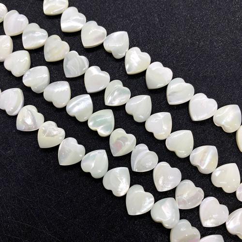 Natural Sea Shell Beads, conchiglia marina, Forma diversa per scelta & DIY, nessuno, Venduto per Appross. 38 cm filo