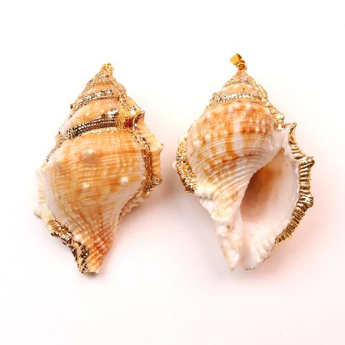 Natürliche Seemuschel Anhänger, Trompete Muschel, mit Messing, Strandschnecke, goldfarben plattiert, DIY, 50x74mm, verkauft von PC