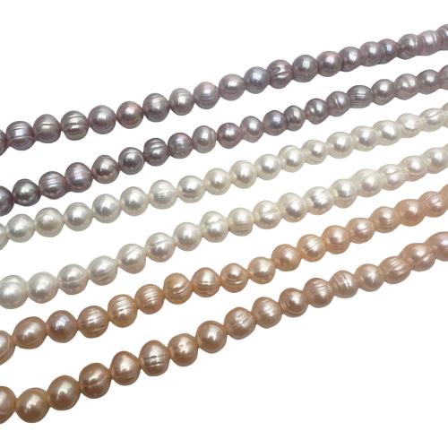 Perlas Patata Freshwater, Perlas cultivadas de agua dulce, Bricolaje, más colores para la opción, 8-9mm, Vendido para aproximado 36 cm Sarta