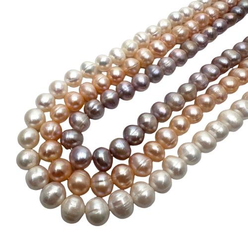 Perlas Patata Freshwater, Perlas cultivadas de agua dulce, Bricolaje, más colores para la opción, 8-9mm, Vendido para aproximado 36 cm Sarta