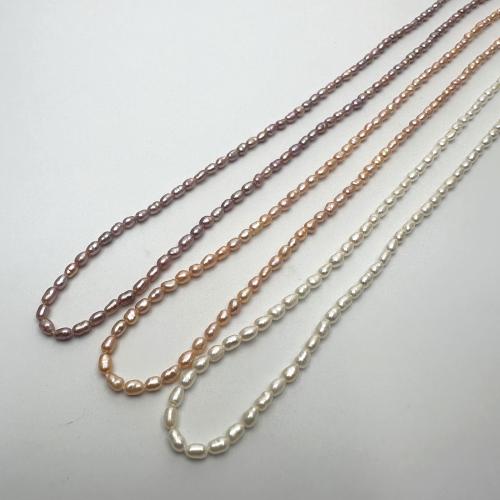 Cultured Rice Freshwater Pearl Beads, DIY, more colors for choice, 2-3mm, Sold Per Approx 37 cm Strand