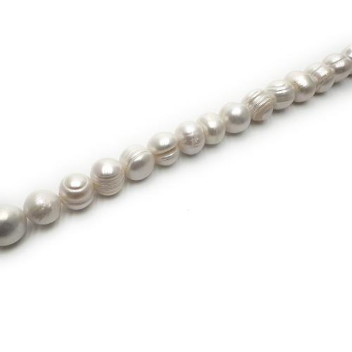 Cultured Potato Freshwater Pearl Beads, DIY, white, 10-11mm, Sold Per Approx 37 cm Strand