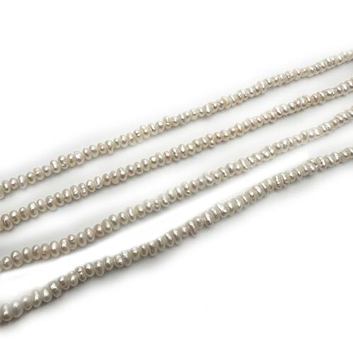 Natural Freshwater Pearl Loose Beads, Flat Round, DIY, white, 2-3mm, Sold Per Approx 36 cm Strand