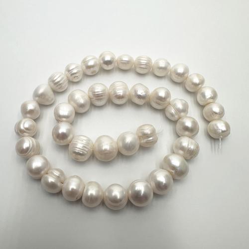 Brambor pěstované sladkovodní perle, Sladkovodní Pearl, DIY, bílý, 10-11mm, Prodáno za Cca 37 cm Strand