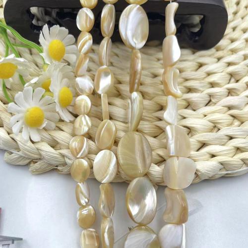 Natural Freshwater Shell Beads, DIY & different size for choice, Sold Per Approx 38 cm Strand