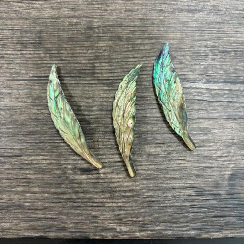 Natural Abalone Shell Pendants, Leaf, DIY, 17x65mm, Sold By PC