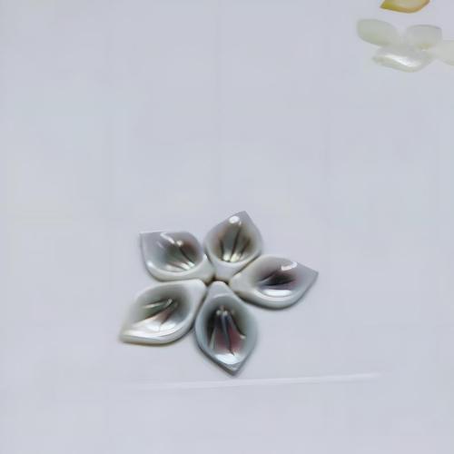 Natural Freshwater Shell Beads, petals, DIY, more colors for choice, 10x15mm, Sold By PC