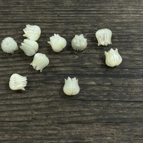 Abalorios de Nácar Natural de Agua Dulce, Arriba carcasa, Flor, Bricolaje, Blanco, 8x8mm, Vendido por UD