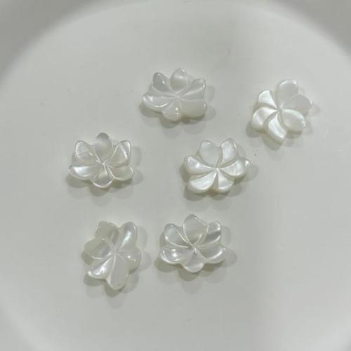 Cuentas de Concha de Labio Blanco, Concha de labios blancos, Flor, Bricolaje, Blanco, 12x15mm, Vendido por UD