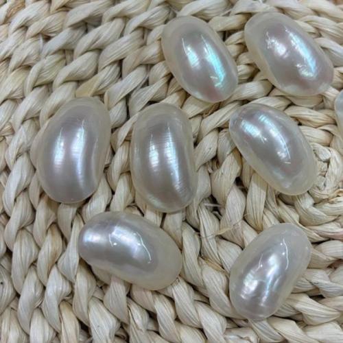 Hair Accessories DIY Findings, Shell, different size for choice, white, Sold By PC