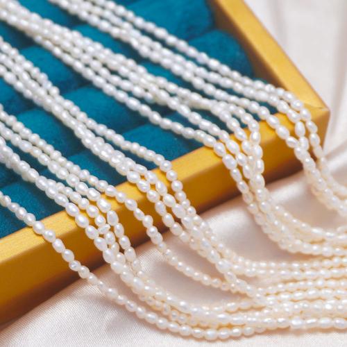 Cultured Rice Freshwater Pearl Beads, DIY, white, 2-2.5mm, Sold Per Approx 37-38 cm Strand