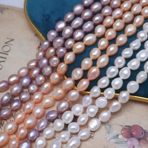 Perles de culture d'eau douce Keishi, perle d'eau douce cultivée, baroque, DIY & normes différentes pour le choix, plus de couleurs à choisir, Vendu par Environ 36-37 cm brin