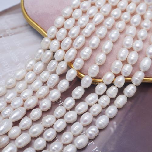 Cultured Rice Freshwater Pearl Beads, DIY, white, 8-9mm, Sold Per Approx 36 cm Strand