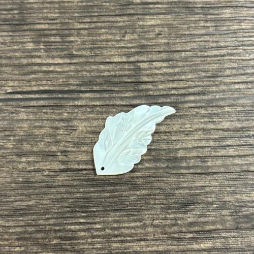 White Lip Shell Pendant, Leaf, DIY, white, 16x28mm, Sold By PC