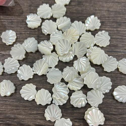 Perles naturelles de coquillage d'eau douce , coquille, coquille, DIY, blanc, 12mm, Vendu par PC