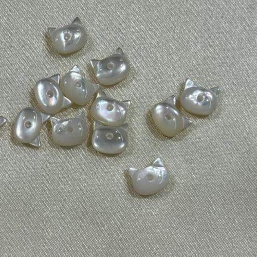 Perles naturelles de coquillage d'eau douce , coquille, chat, DIY & normes différentes pour le choix, plus de couleurs à choisir, Vendu par PC