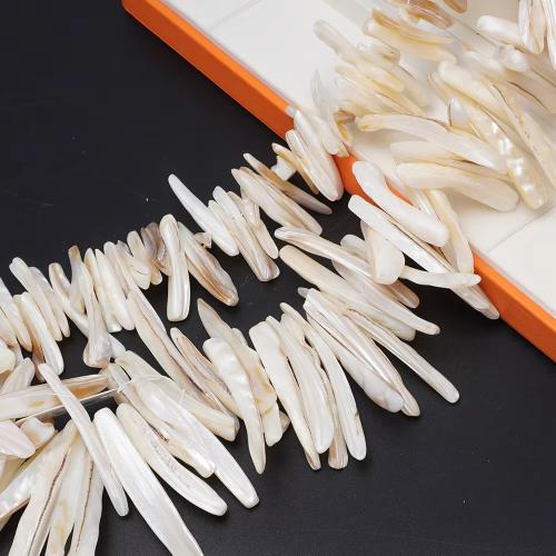 Natural Freshwater Shell Beads, irregular, DIY, 35-58mm, Sold Per Approx 37 cm Strand