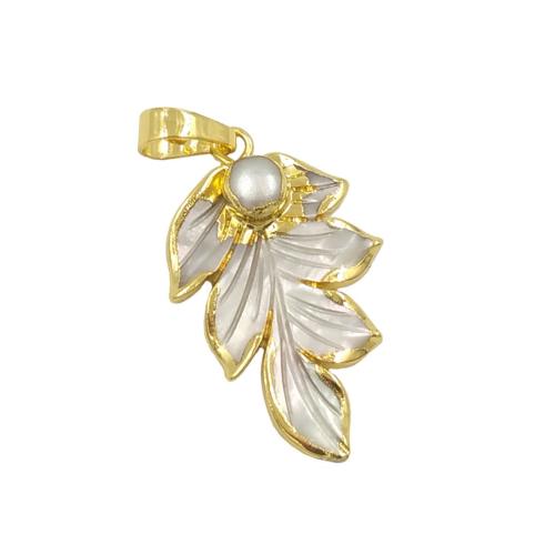 Brass Jewelry Pendants, with Pearl Oyster, Leaf, gold color plated, DIY, nickel, lead & cadmium free, 20x29mm, Sold By PC