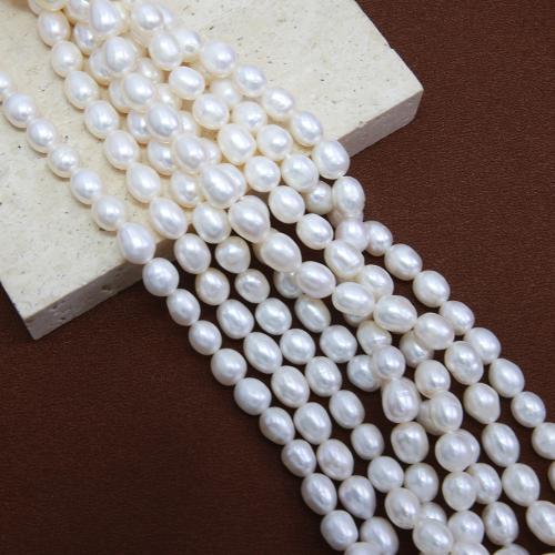 Cultured Potato Freshwater Pearl Beads, DIY, white, about:7-8mm, Sold Per Approx 38 cm Strand